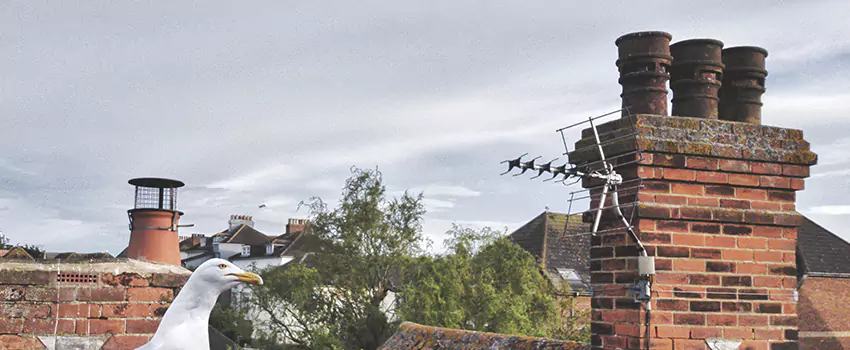 Chimney Cleaning And Restoration in White Settlement, Texas